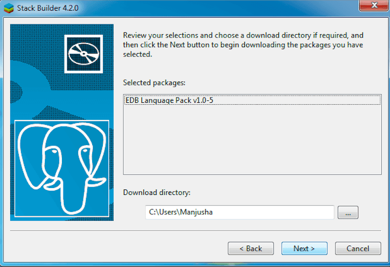 The Selected Packages Window