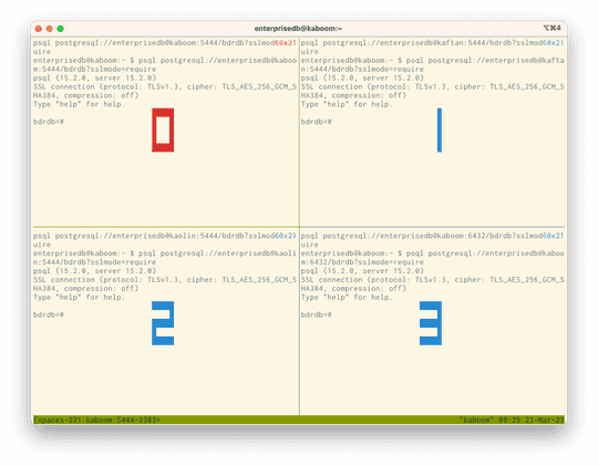 EDB Docs - EDB Postgres Distributed (PGD) v5.6.1 - Exploring conflict ...