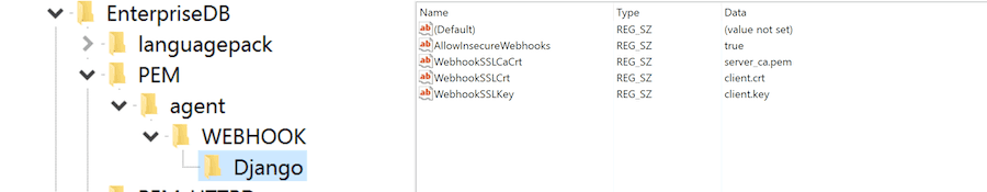 Example - Webhook SSL Parameters in windows registry