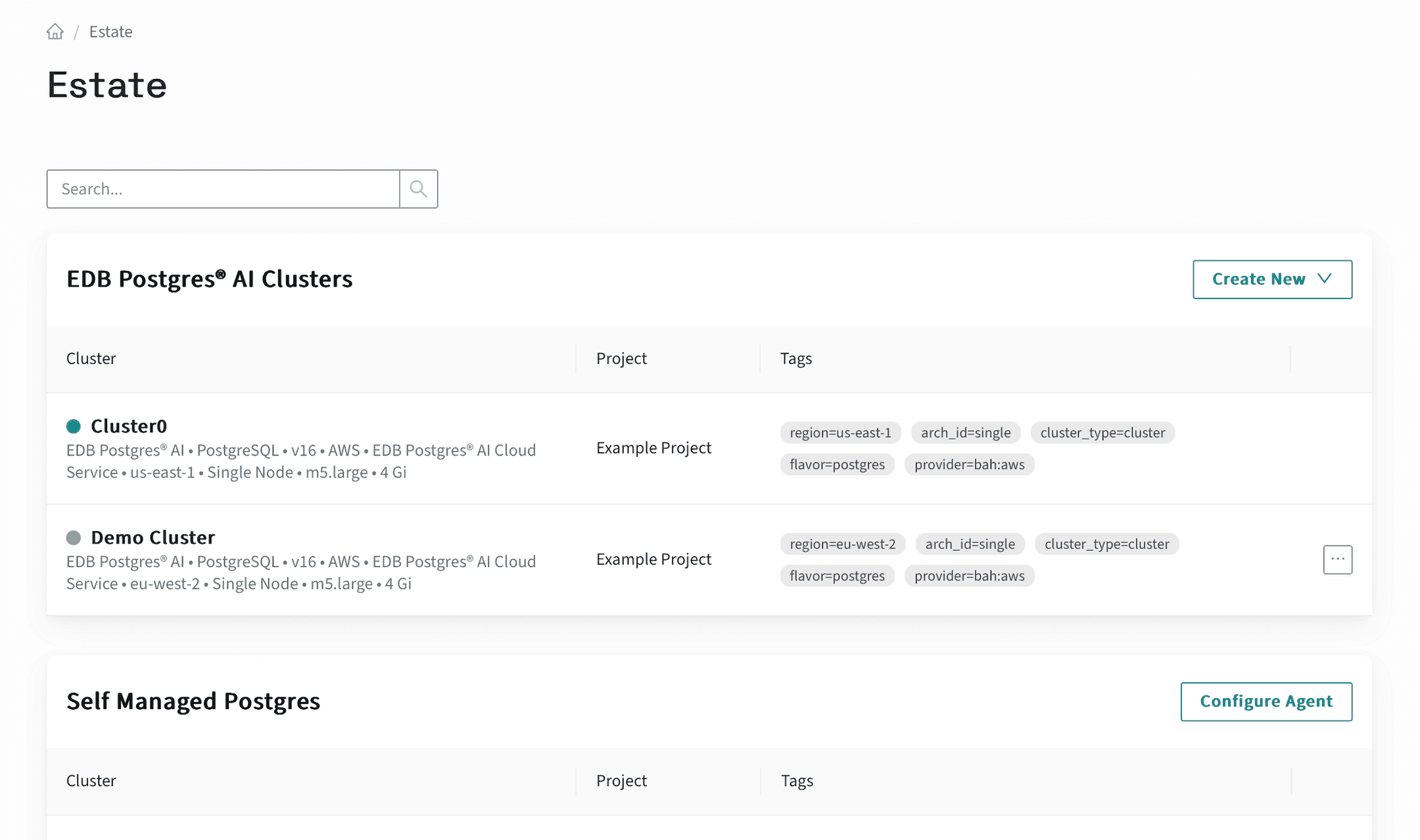 EDB Docs - The EDB Postgres AI Console: Estate