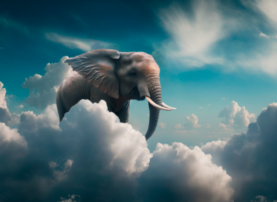 Cloud Elephant