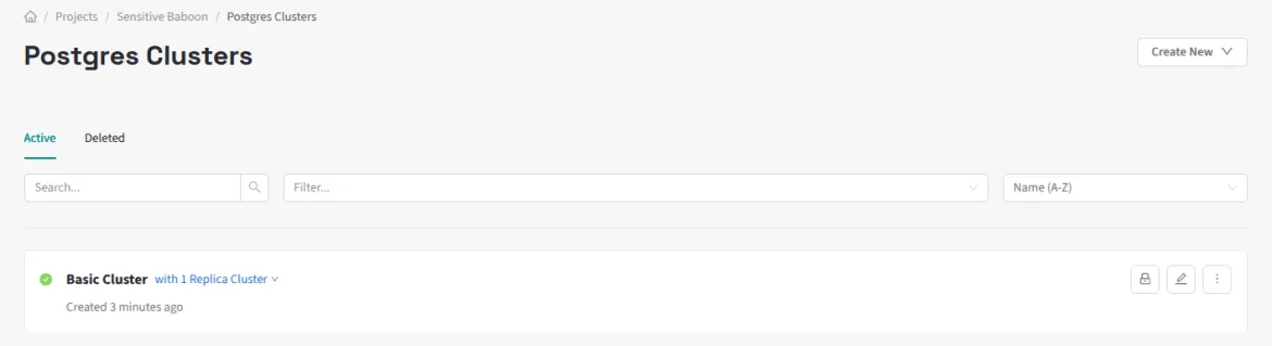 The cluster is provisioned