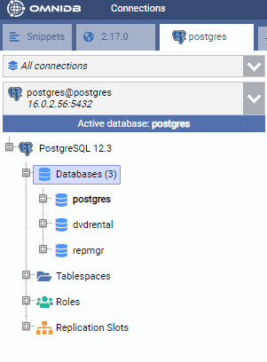 PostgreSQL Primary Node in OmniDB