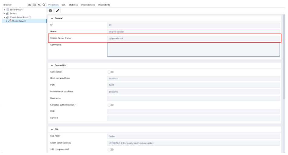 properties view of a shared server