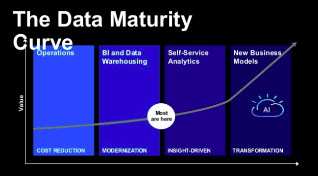 Data Maturity Curve