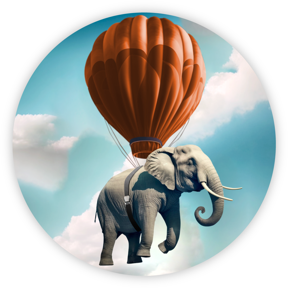 migration homepage icon