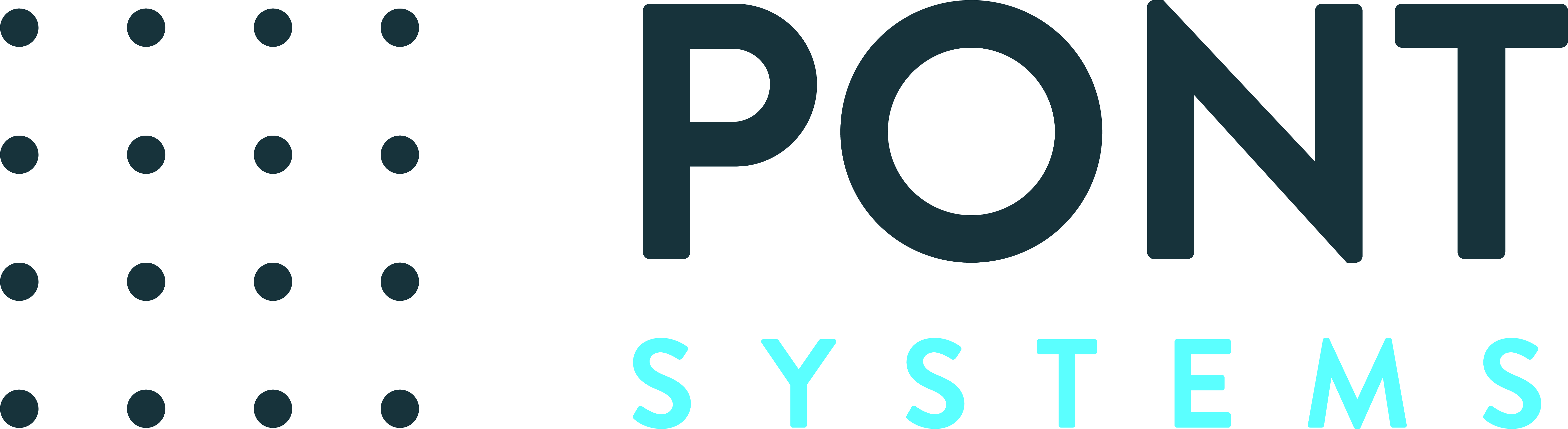 Pont Systems
