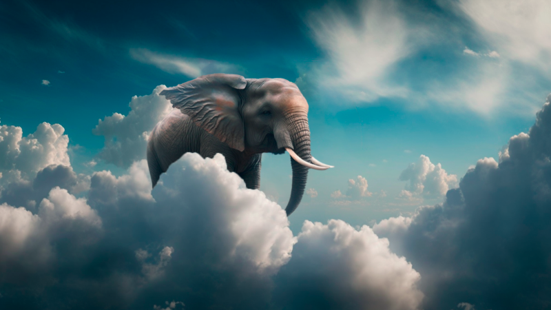 Cloud Elephant