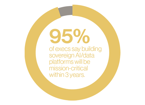 sovereign ai exec statistic